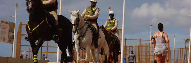 Cavalaria da Polícia Militar auxilia policiais na prevenção de furtos e roubos durante Operação Verão 2025/26