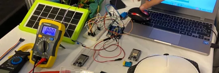 Estudantes apresentam uma plataforma virtual para a gestão eficiente da arborização urbana