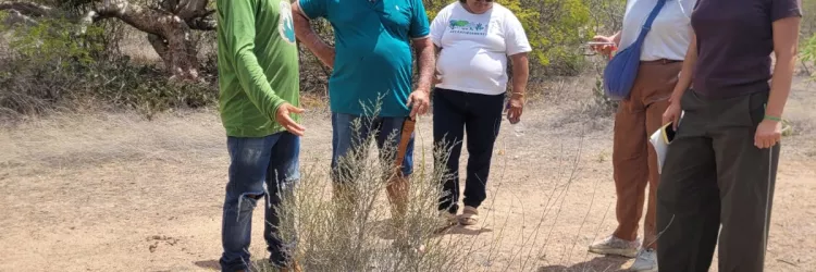 Oficiais do FIDA visitam experiências desenvolvidas pela CAR no Semiárido baiano