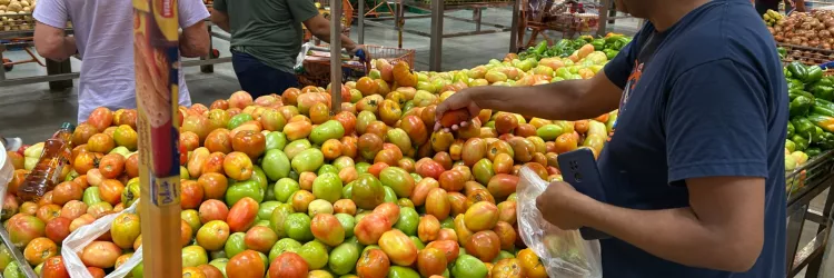 Cesta Básica de Salvador apresenta queda pelo quarto mês consecutivo e fecha novembro com redução de 1,42%