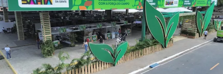 Fenagro 2025: Encontro nesta terça (2) reúne secretários de seis estados para impulsionar desenvolvimento do MATOPIBA e SEALBA