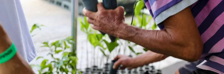 Sugestão de pauta: Distribuição de mudas e experiência imersiva atrai público e marca presença da Sema e do Inema na Fenagro