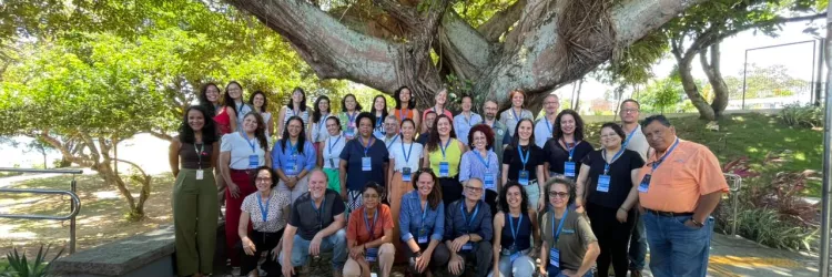 Oficina integra estados e fortalece ações do PAN Insetos Polinizadores em Salvador