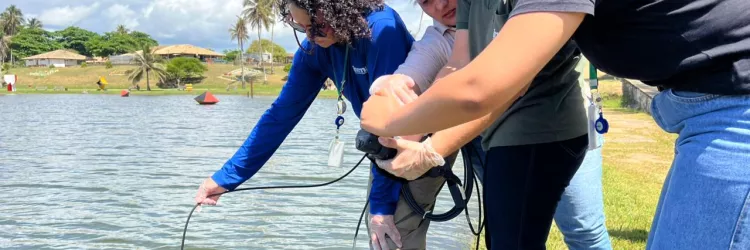 Inema promove capacitação técnica com novos equipamentos de monitoramento hídrico