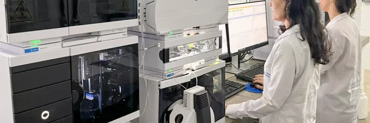 Pesquisadora do Cetab é premiada por estudo sobre abelhas sem ferrão publicado em revista internacional