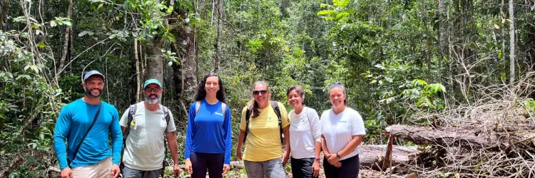 Inema amplia ações de conservação da flora e reforça integração entre ciência e gestão ambiental na Bahia