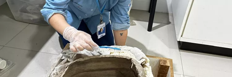 Artefatos Tupiguarani são encontrados em escavações da obra de esgotamento sanitário em Senhor do Bonfim