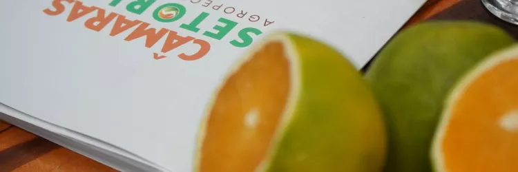 Câmaras Setoriais em debate: cacau, sisal, dendê e citrus abrem o calendário 2026