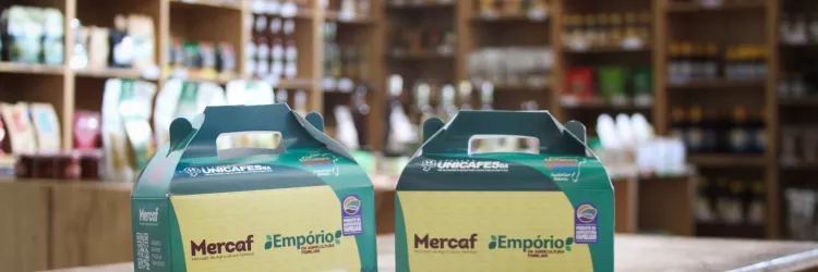 Ação do Governo da Bahia leva alimentos da agricultura familiar a trabalhadores da reciclagem no Carnaval 2026Ação do Governo da Bahia leva alimentos da agricultura familiar a trabalhadores da reciclagem no Carnaval 2026