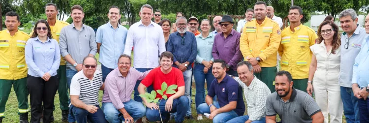 Projeto Arborização