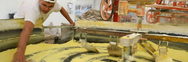 Seagri realiza seminário para fortalecer cadeia produtiva da mandioca na Bahia