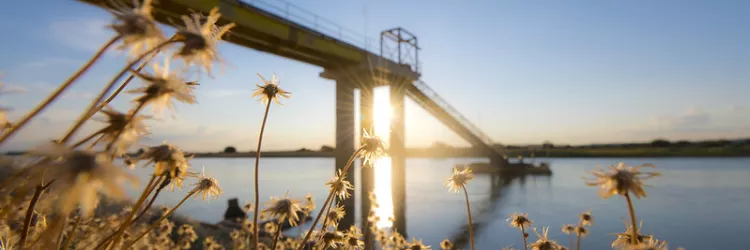 Dia Mundial da Água: Sistema ampliado reforça abastecimento em comunidades rurais na região de Irecê
