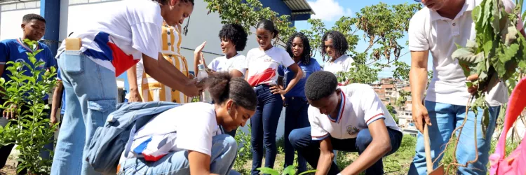 Estudantes de colégio de tempo integral transformam escola em espaço de educação ambiental e agroflorestamento