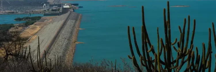 APA Lago de Sobradinho: 20 anos protegendo água, biodiversidade e modos de vida no semiárido