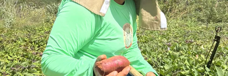 Produção coletiva fortalece mulheres de Fundo de Pasto no semiárido baiano