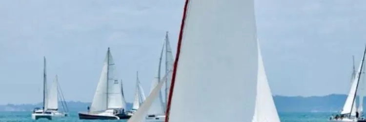 Museu do Recôncavo Wanderley Pinho promove I Encontro Náutico-Cultural e regata na Baía de Todos os Santos