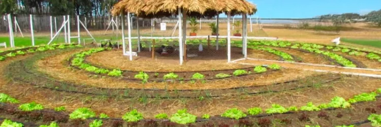 Prêmio Inova Agro vai reconhecer projetos inovadores da agropecuária baiana durante Feagri