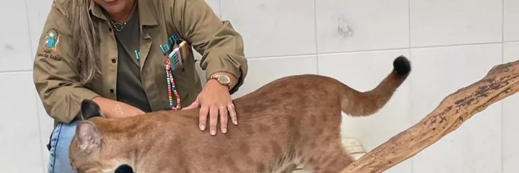  Parque Zoobotânico da Bahia