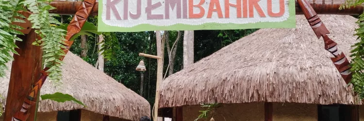 Comunidade tradicional