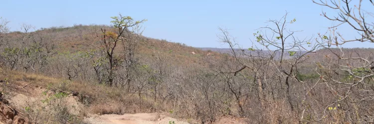 Relatório da ANA destaca redução da seca na Bahia e reforça ações de monitoramento e gestão hídrica