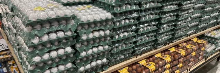 Produtos de Semana Santa em Salvador: histórico aponta o ovo de galinha como um dos vilões do período