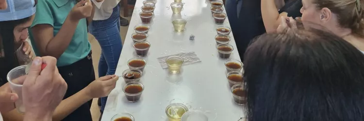 Uesb impulsiona setor cafeeiro com laboratório especializado no estudo de grãos de café