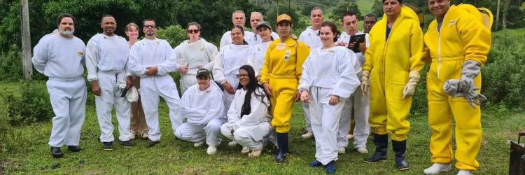 DAB conclui capacitação sobre apicultura e manejo sanitário das abelhas na Bahia