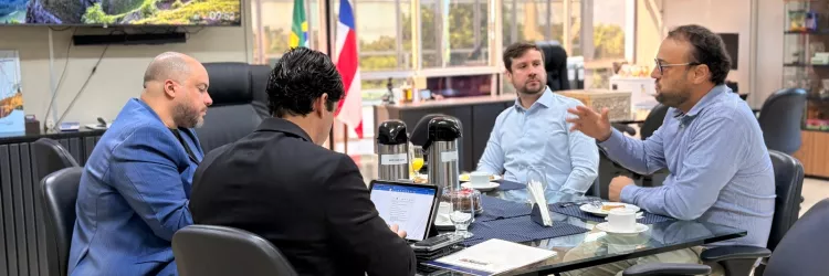 Grupo Corcovado apresenta novo projeto termelétrico a gás natural à SDE