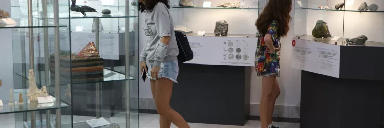 Museu Geológico
