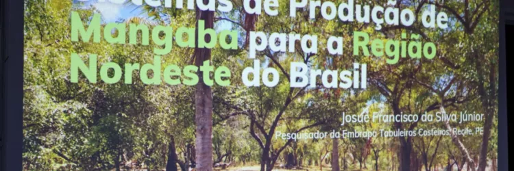 Seagri fortalece cadeia produtiva da mangaba em encontro com municípios da Chapada Diamantina