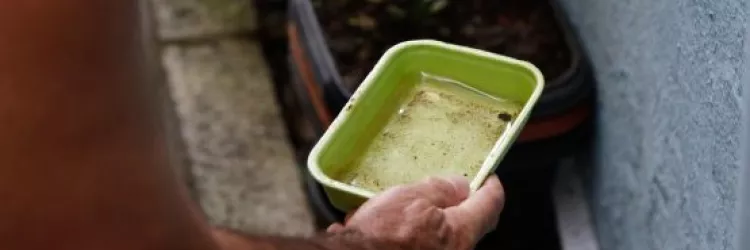 Bahia registra queda de 41% nos casos de dengue em 2026
