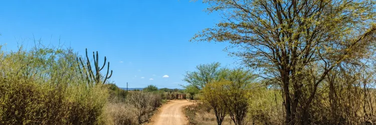 Distrito de Cisterna