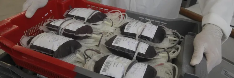 Sabadão Solidário amplia atendimento para doação de sangue nas unidades da Hemoba