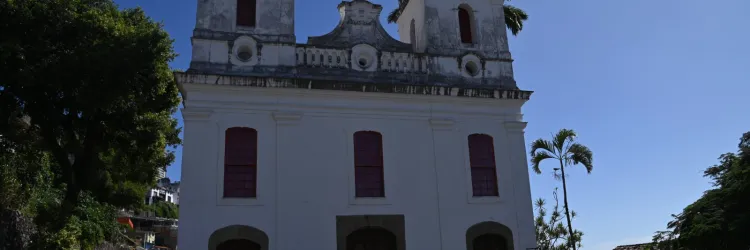Bahia destaca legado de Frans Krajcberg no MAM-BA