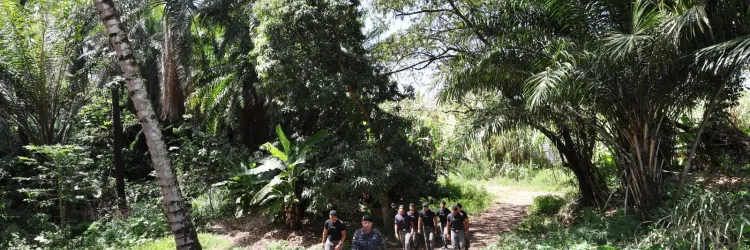 Policiais militares da Bahia são capacitados para conduzir cães em buscas por pessoas desaparecidas