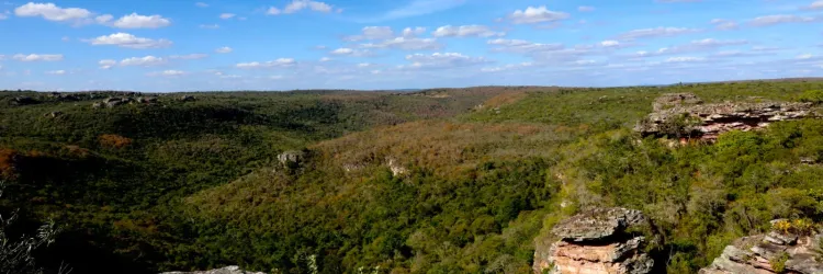 Refúgio de Vida Silvestre Serra da Chapadinha é criado