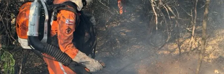 Estado da Bahia intensifica combate a incêndio florestal e protege comunidades no Norte baiano