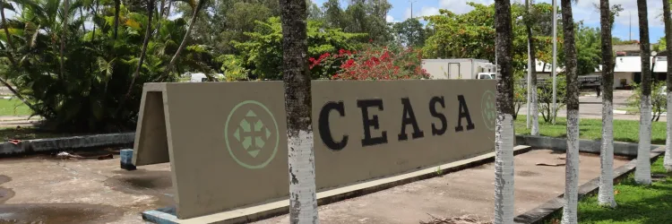 Ceasa de Salvador