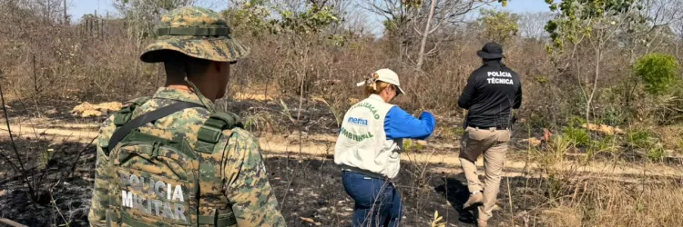 Ronda Verde inicia fiscalização em áreas atingidas por incêndios florestais na Bahia