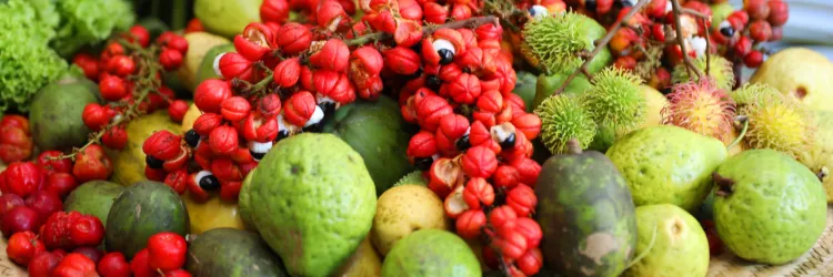 Sertão Vivo Bahia