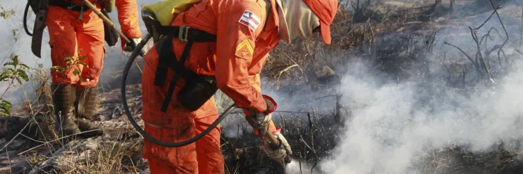 Bombeiros completam 100 dias de operação contra incêndios florestais 