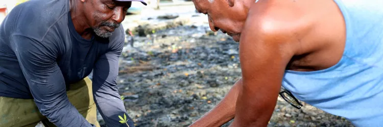 O Subúrbio é Nosso: VLT promove ações de valorização da pesca e cuidado ambiental no Lobato