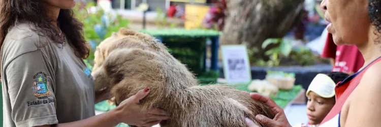 Educação ambiental desenvolvido pelo Parque Zoobotânico da Bahia