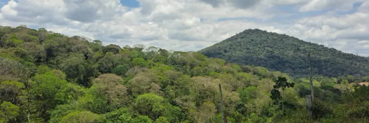 TCSA Porto Sul abre seleção para impulsionar ações de educação ambiental