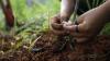 Governo da Bahia lança editais inéditos de R$ 16 milhões para fortalecer plantas medicinais e turismo rural comunitário