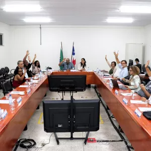 Conselho Estadual de Educação aprova resolução para a Educação Infantil no Dia Nacional da Educação Infantil