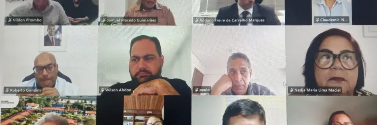Reunião virtual do Conselho Pleno
