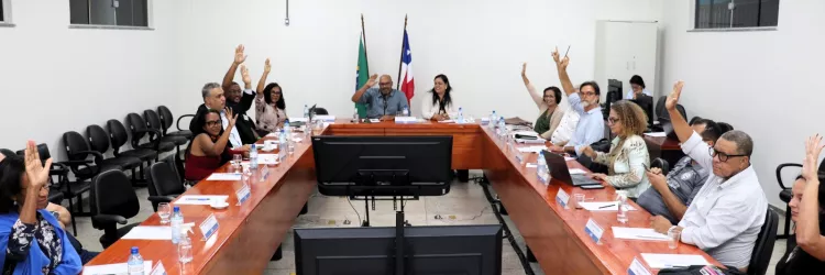 Conselho Estadual de Educação aprova resolução para a Educação Infantil no Dia Nacional da Educação Infantil