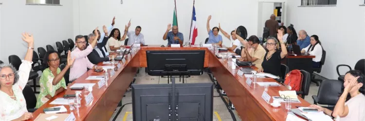 Aprovação da Resolução