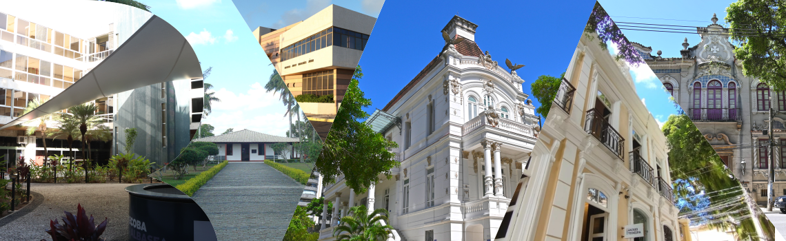 Bibliotecas e museus